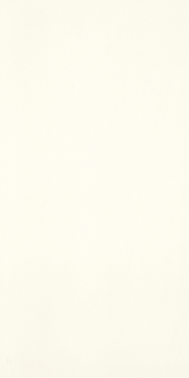Graniti Fiandre Uni Active Ice antybakteryjna 150x300 cm gr. 6 mm